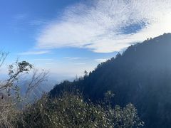 -天目山大树王景区