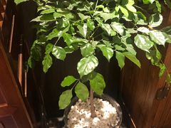 -大唐博相府酒店·陕西官府菜