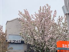 -龙湖星悦荟(颐和店)