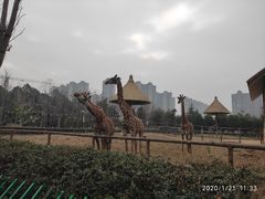 -南昌动物园