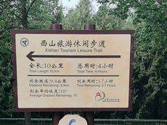 -北京西山国家森林公园