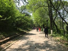 -高尔山公园