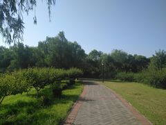 -永定河休闲森林公园