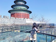 -黄贤森林公园
