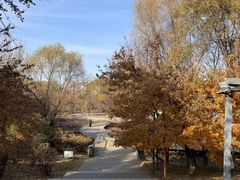 -长白岛森林公园