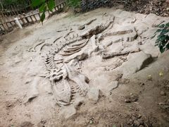 -呀路古热带植物园