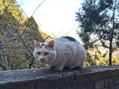 -北京凤凰岭