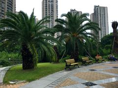 -苏州河梦清园环保主题公园