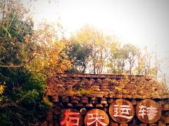 -千年银杏谷文化旅游区