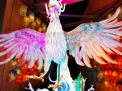 -横店影视城梦幻谷园区