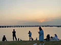 -宝安西湾红树林湿地公园