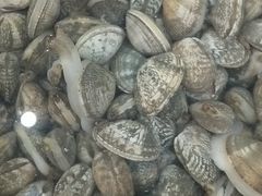 -老诚一锅羊蝎子(垡头店)