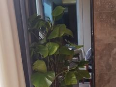 -忘情水鱼头·鲜鱼火锅(滨江中路店)
