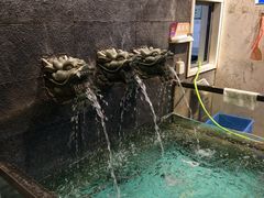 -鱼痴渔醉·食鲜集(月亮湾店)