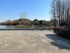 -长广溪湿地公园