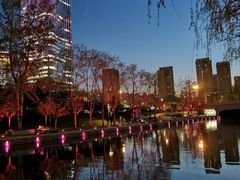 -大望京公园