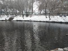 -水磨沟公园