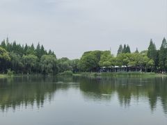 -新洲生态园