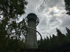 -黄海国家森林公园