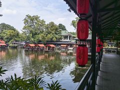 -侨美·唐荔园·40年地道粤菜