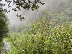 -苍山感通索道