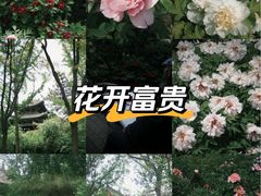 -迎泽公园