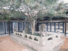 -绮园景区
