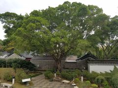 -九龙寨城公园