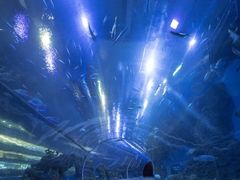 -成都浩海立方海洋公园