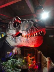 -恐龙探索乐园(磁器口店)