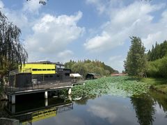 -黄海国家森林公园