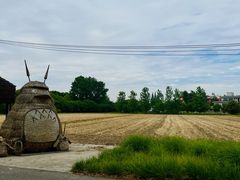 -嘉北郊野公园