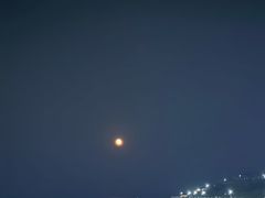 -小麦岛公园