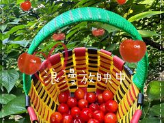 -樱桃沟景区