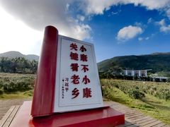 -亚龙湾国际玫瑰谷