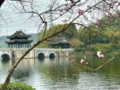 -重庆园博园
