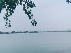 -东湖落雁景区