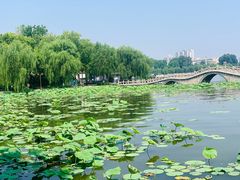 -济南大明湖景区