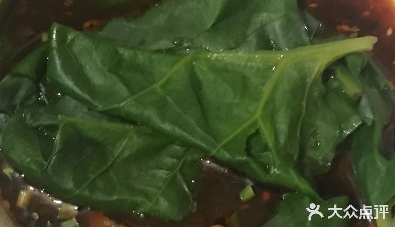 煮面最简单明了