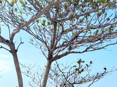 -三亚西岛海洋文化旅游区