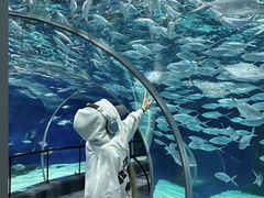 -海合安成都极地海洋公园