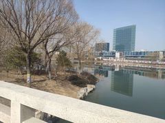 -大兴滨河森林公园