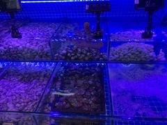 -渔民船说·北塘海鲜·天津菜·海肠捞饭(北塘古镇店)