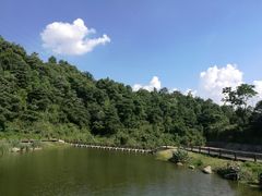 -梅岭月亮湾山体公园