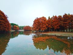 -厦门园林博览苑
