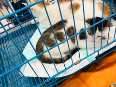 -家饰佳(宜山路店)