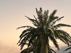 -上海玛雅海滩水公园