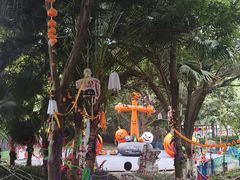 -南湖梦幻岛