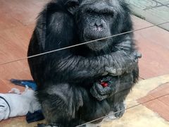 -荆州中山公园动物园