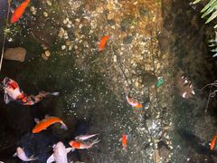 -聚缘堂·海鲜私房菜(松岭路店)